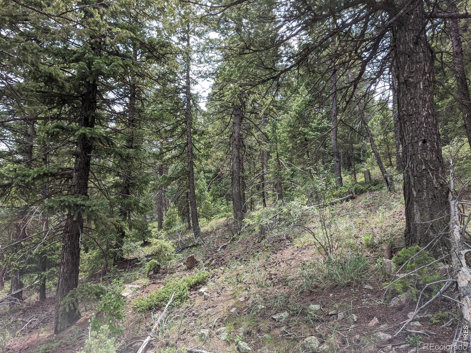 1312 Chute Road Golden CO 80403