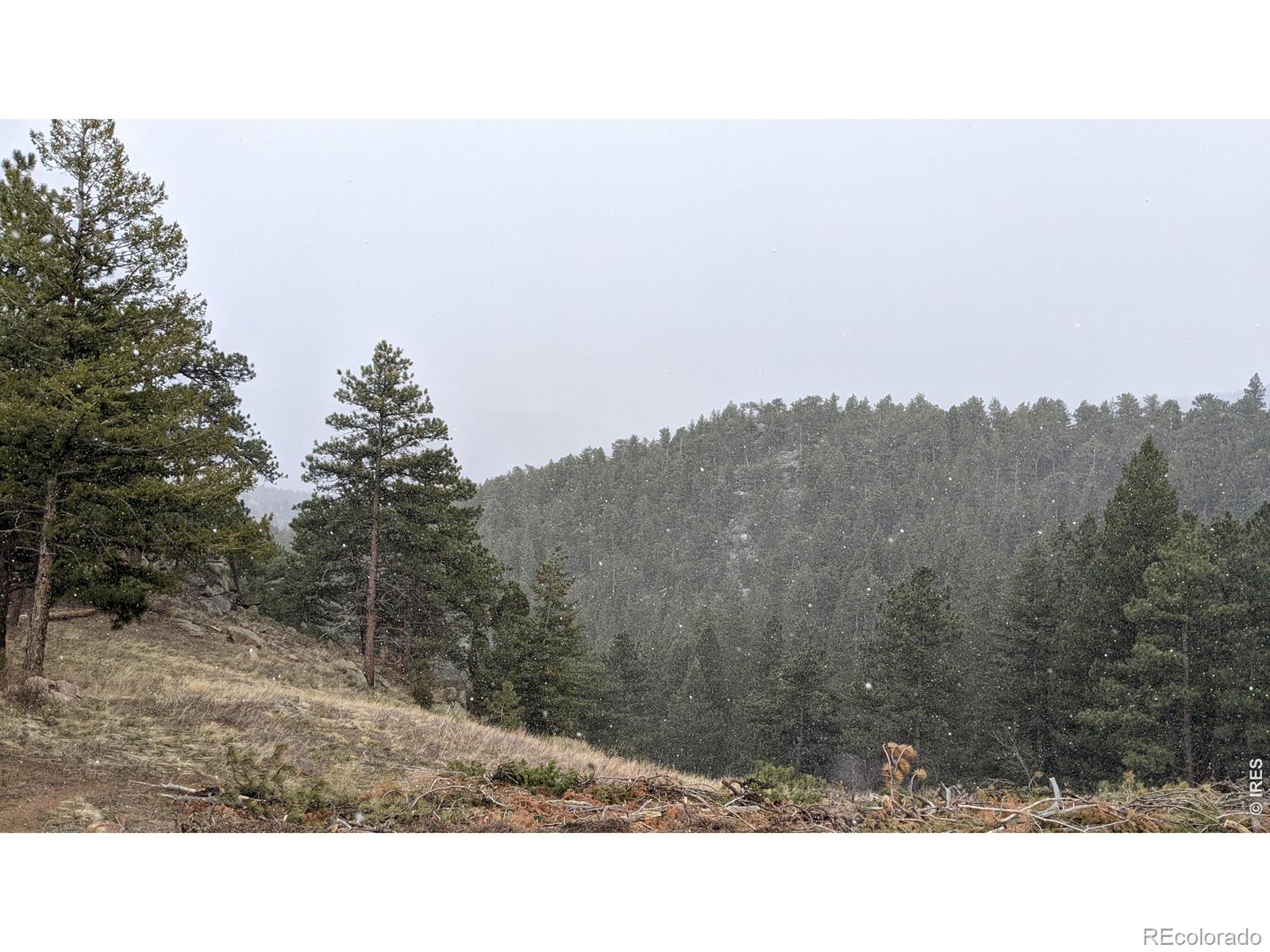 1312 Chute Road Golden CO 80403