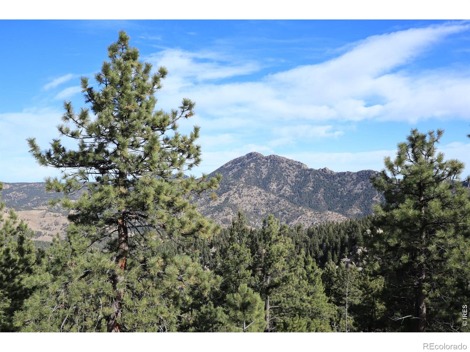 1312 Chute Road Golden CO 80403