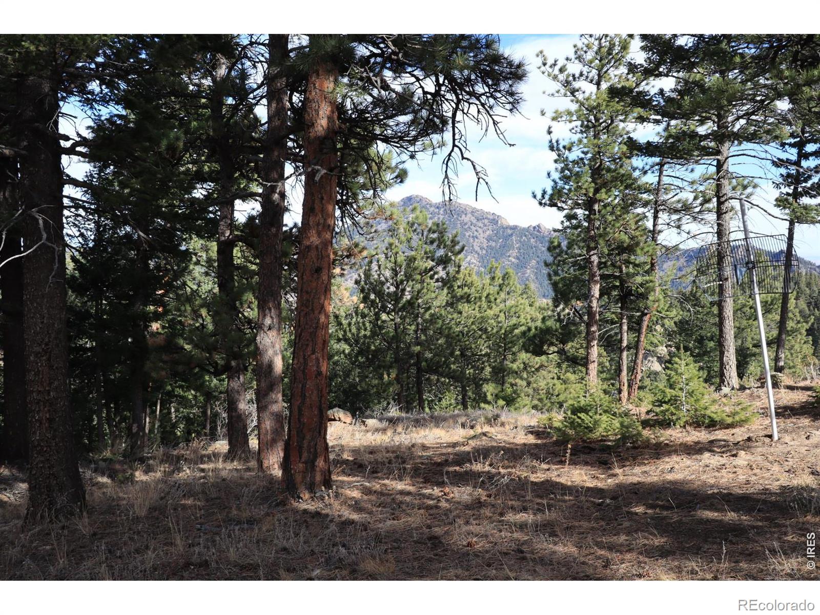 1312 Chute Road Golden CO 80403