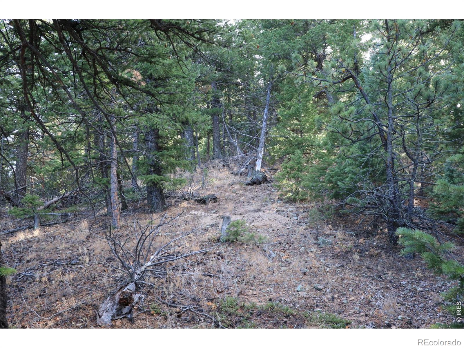 1312 Chute Road Golden CO 80403