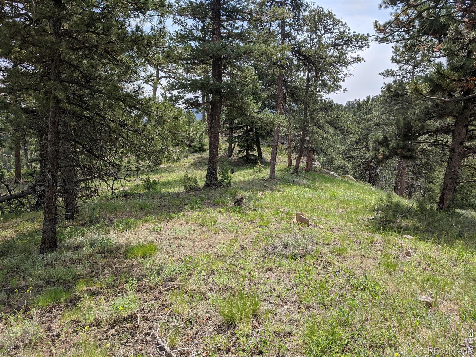 1312 Chute Road Golden CO 80403