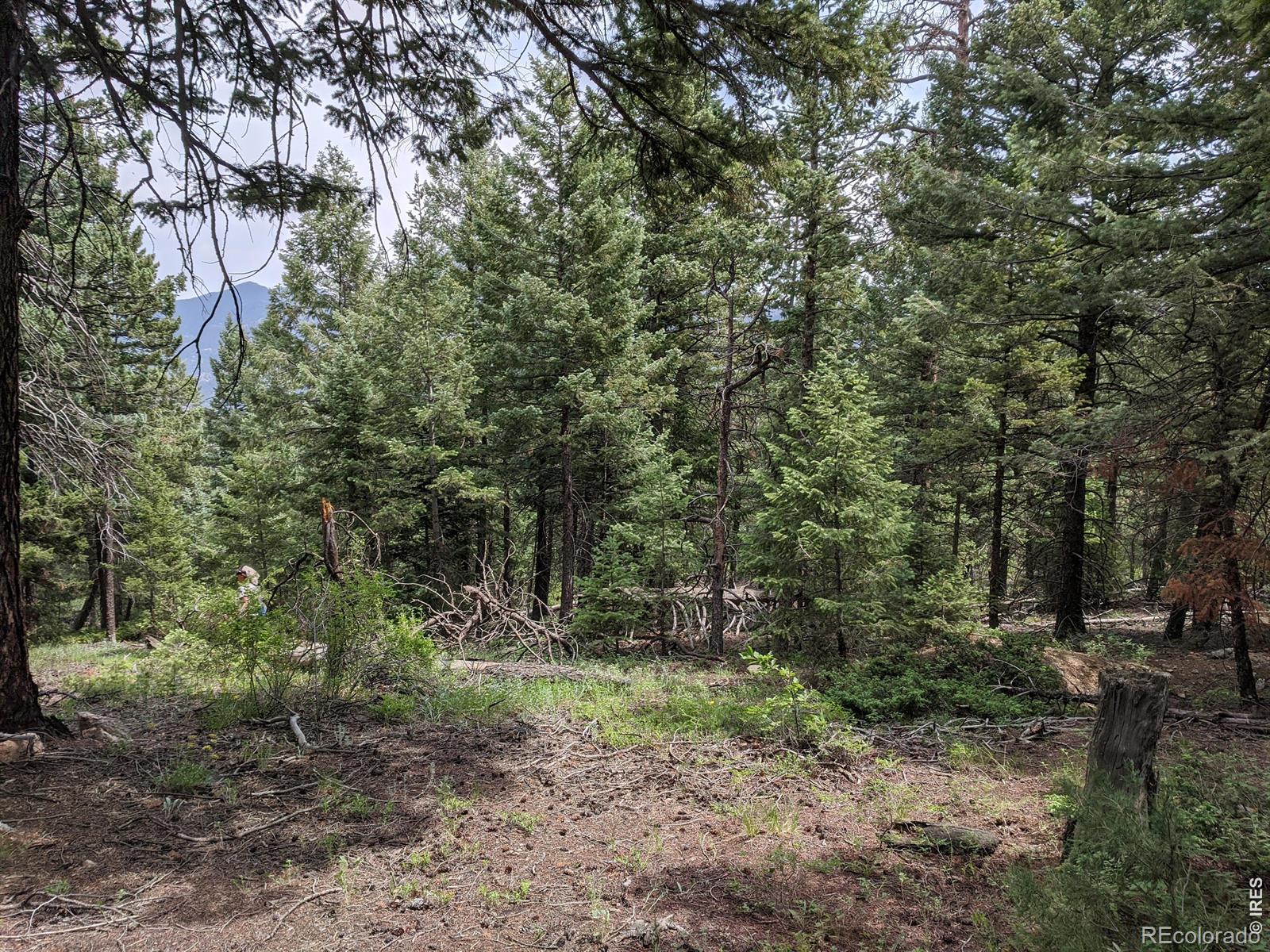 1312 Chute Road Golden CO 80403