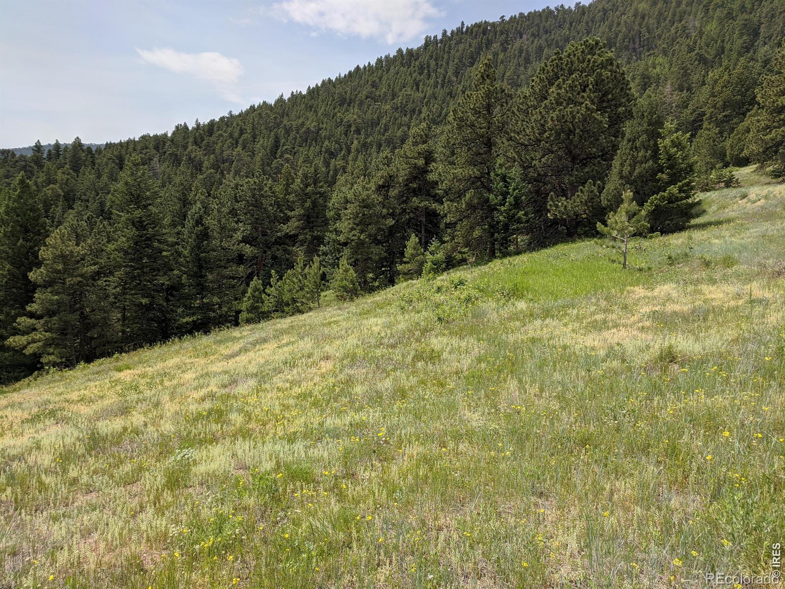 1312 Chute Road Golden CO 80403
