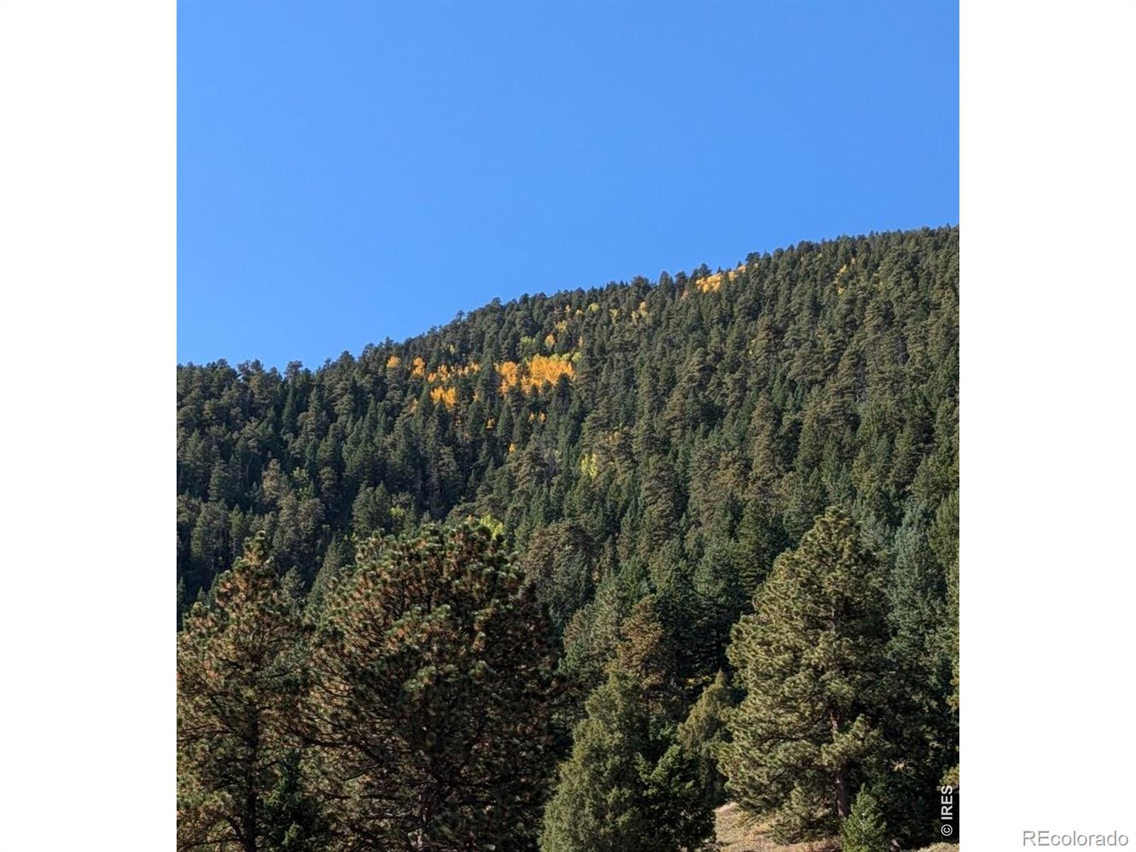 1312 Chute Road Golden CO 80403