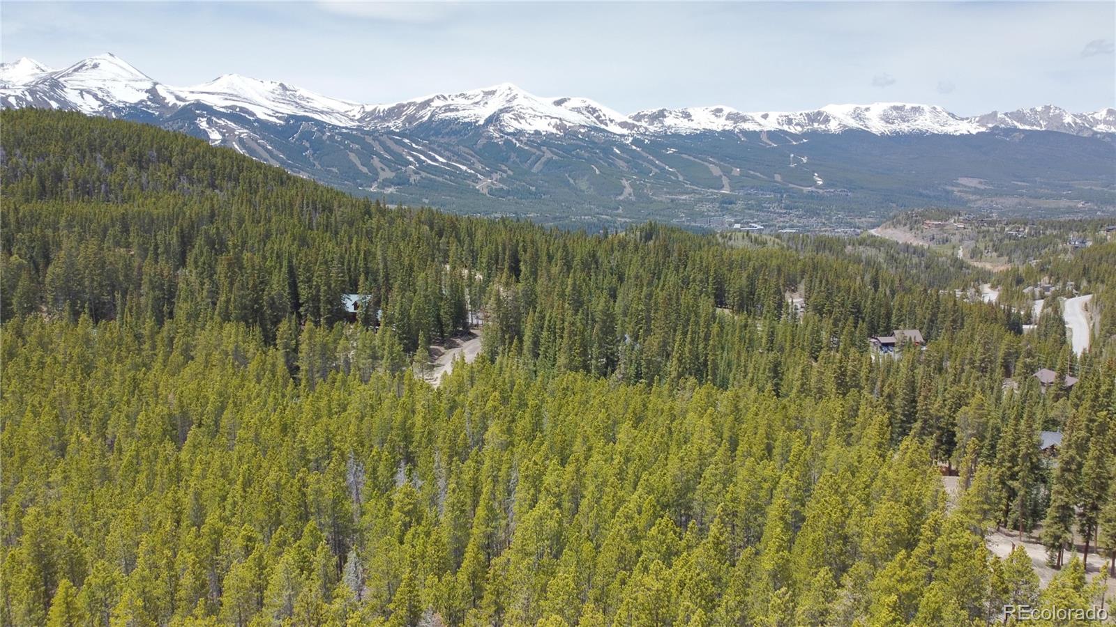 0064 Cr 534 Breckenridge CO 80424
