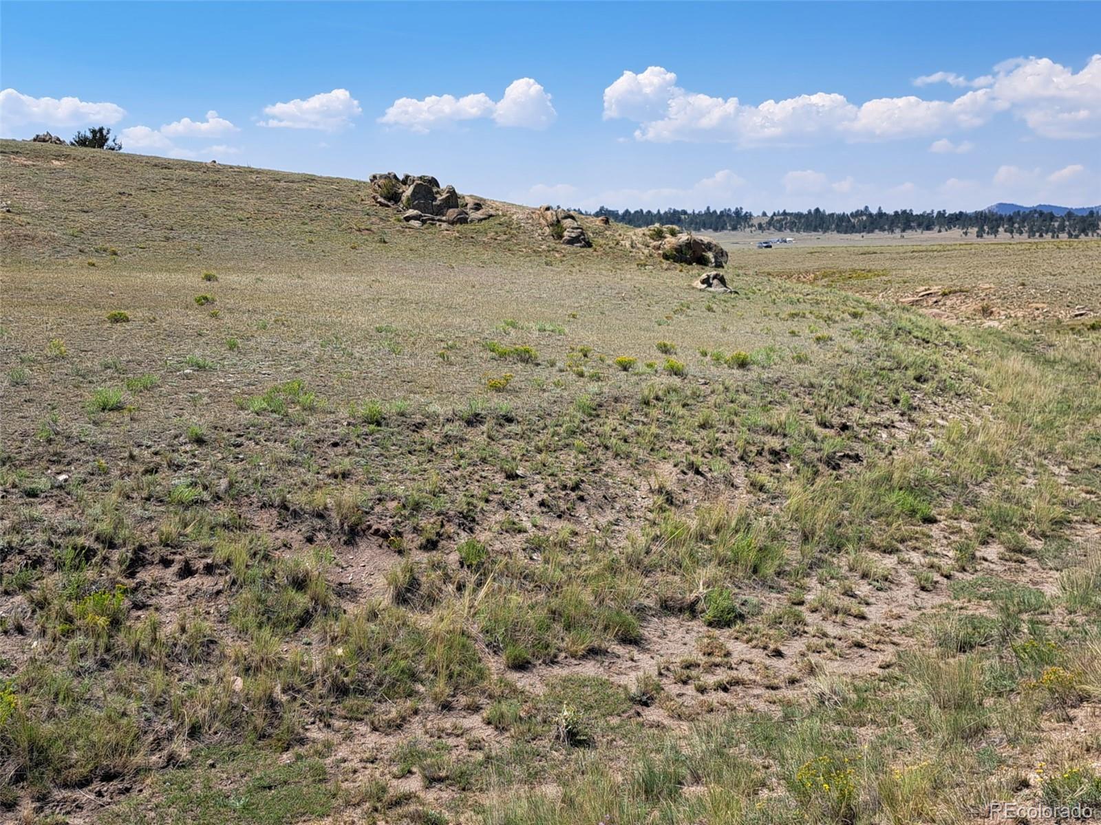 780 Ute Trace Hartsel CO 80449