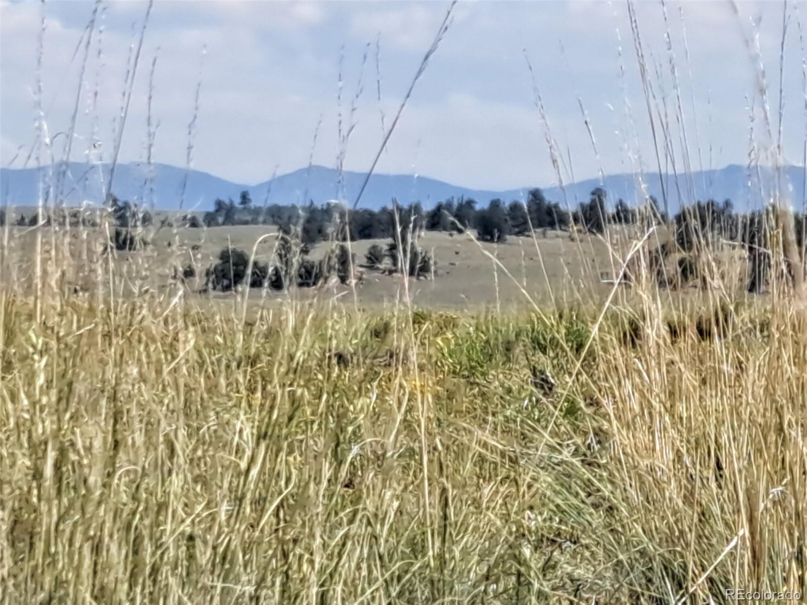 780 Ute Trace Hartsel CO 80449