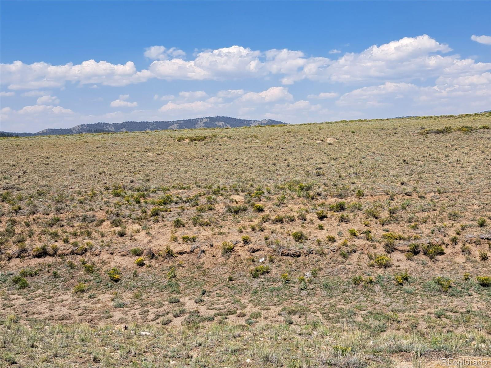 780 Ute Trace Hartsel CO 80449