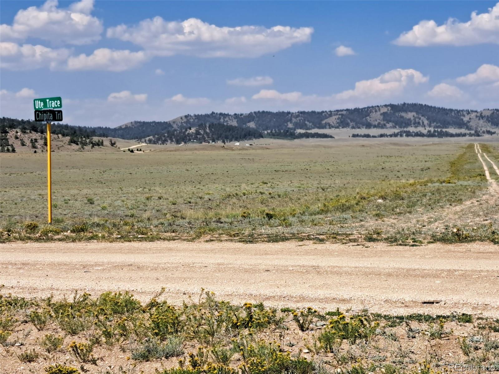 780 Ute Trace Hartsel CO 80449
