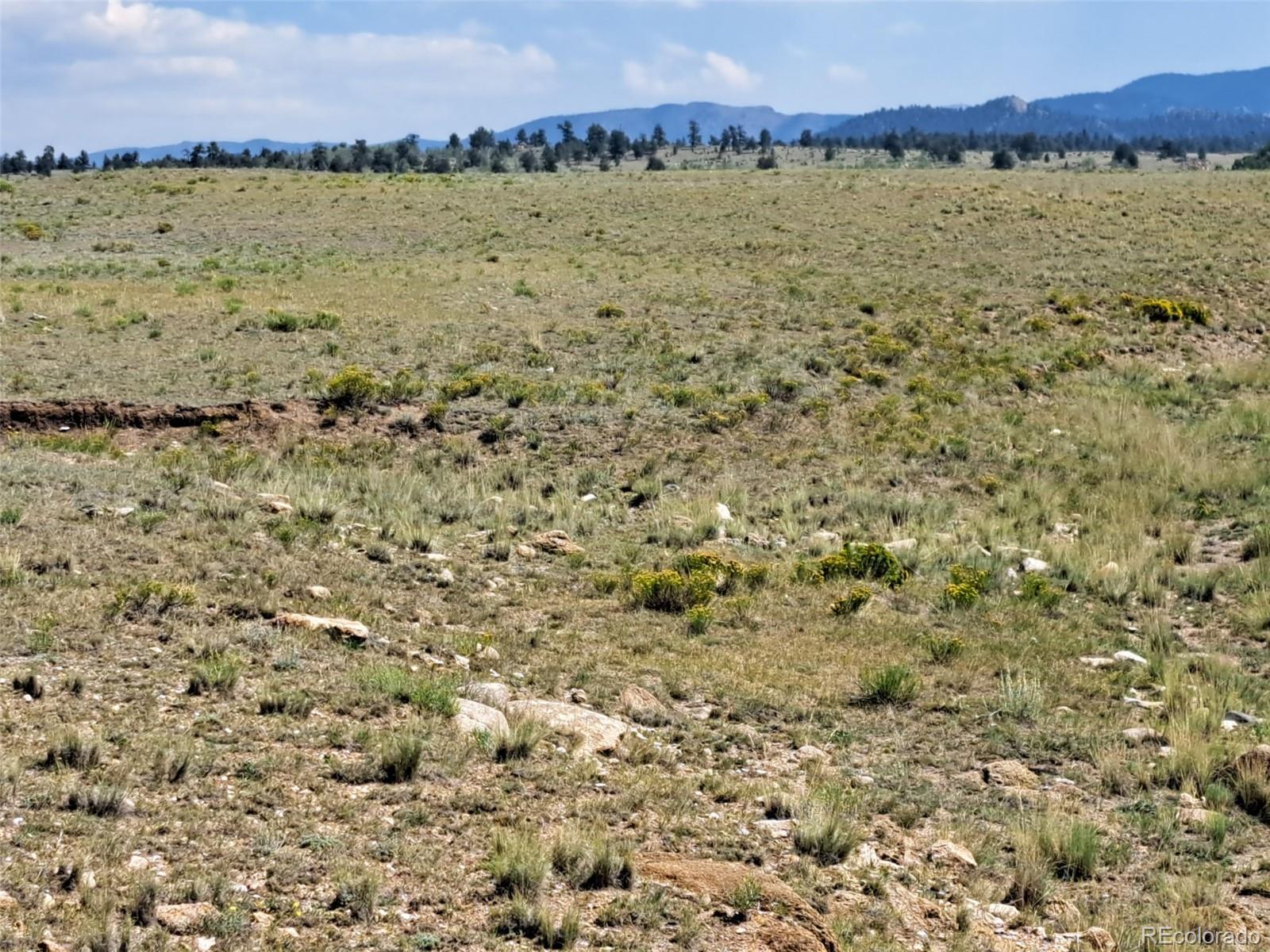 780 Ute Trace Hartsel CO 80449