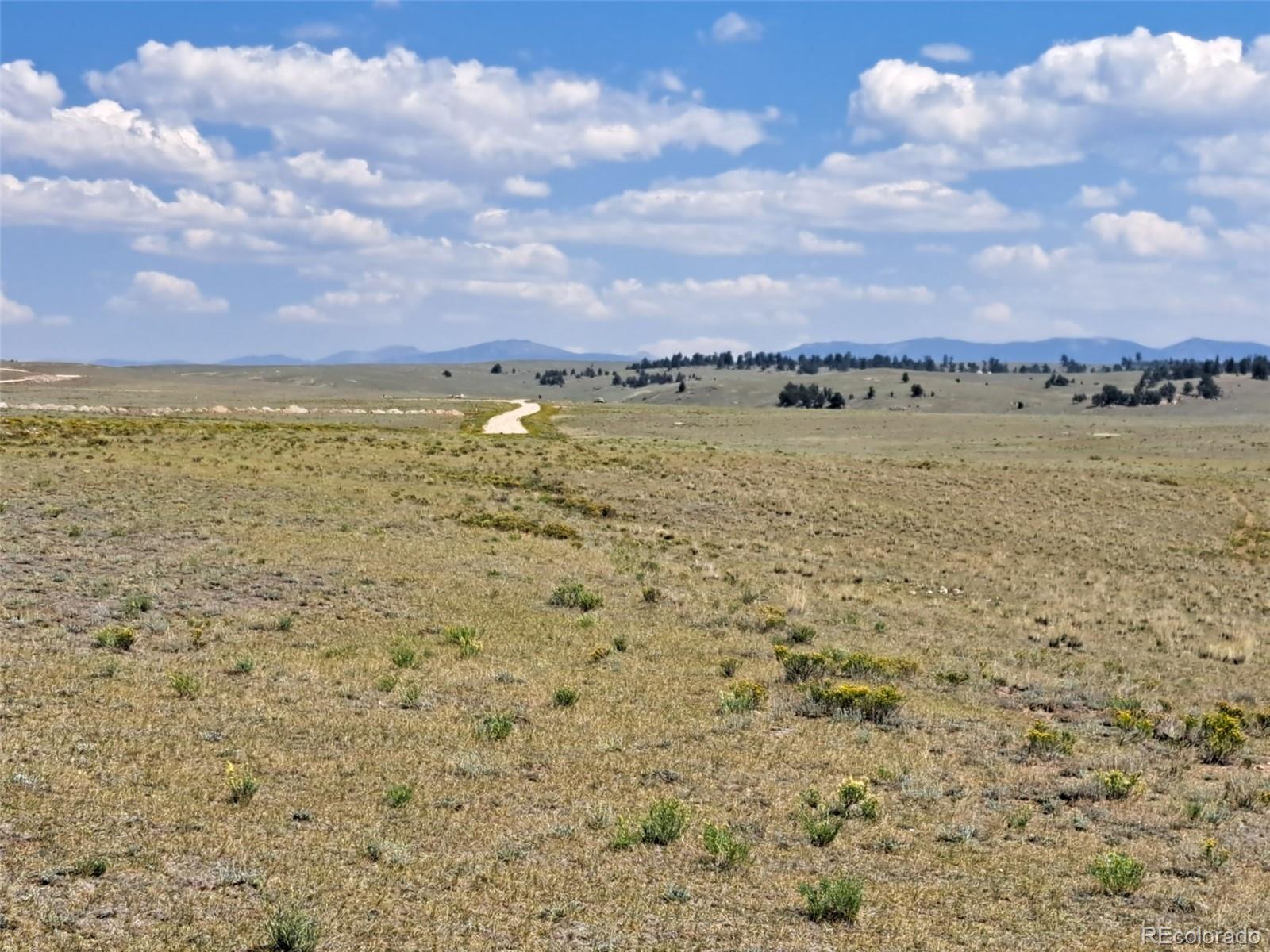 780 Ute Trace Hartsel CO 80449