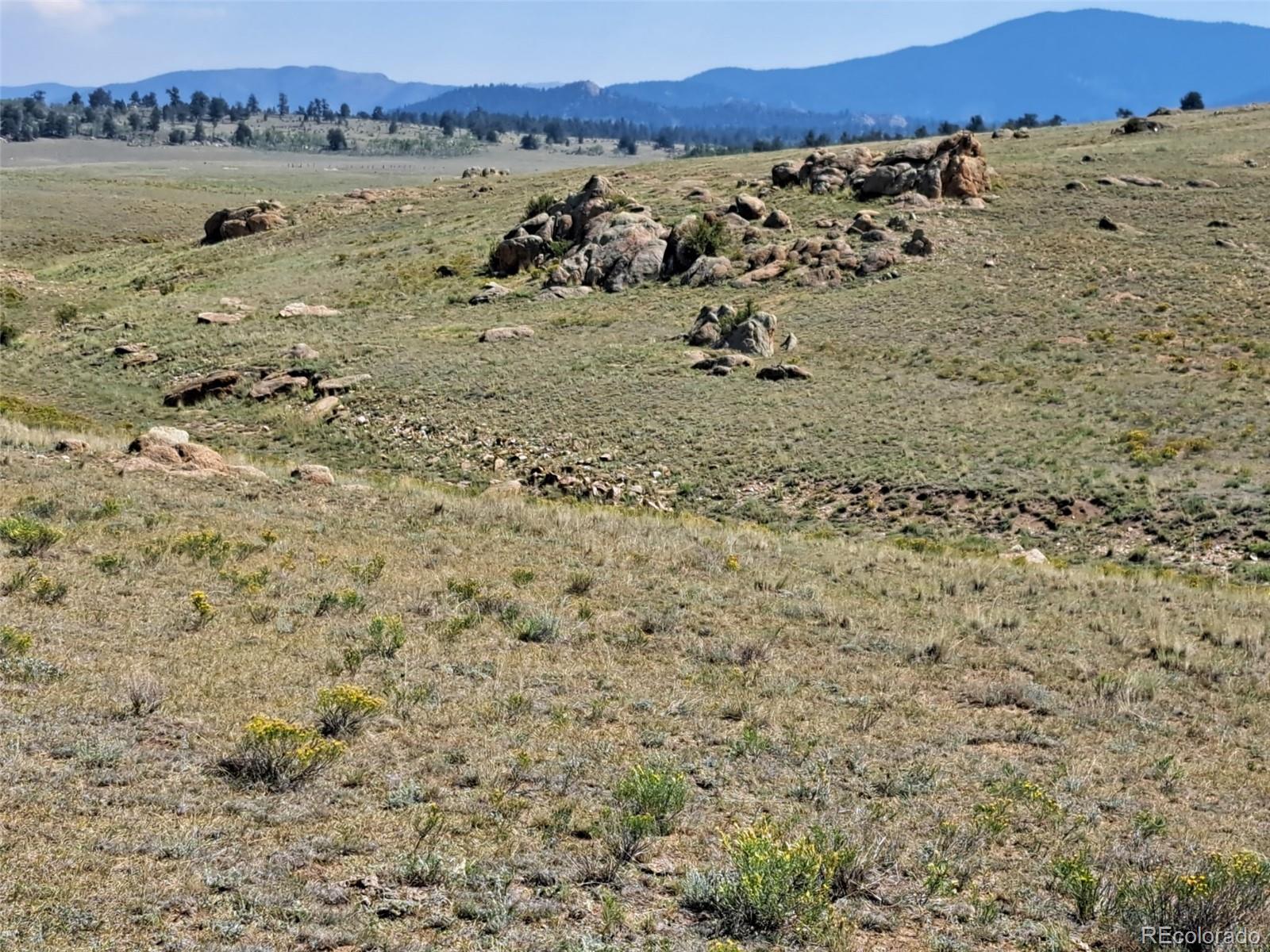 780 Ute Trace Hartsel CO 80449