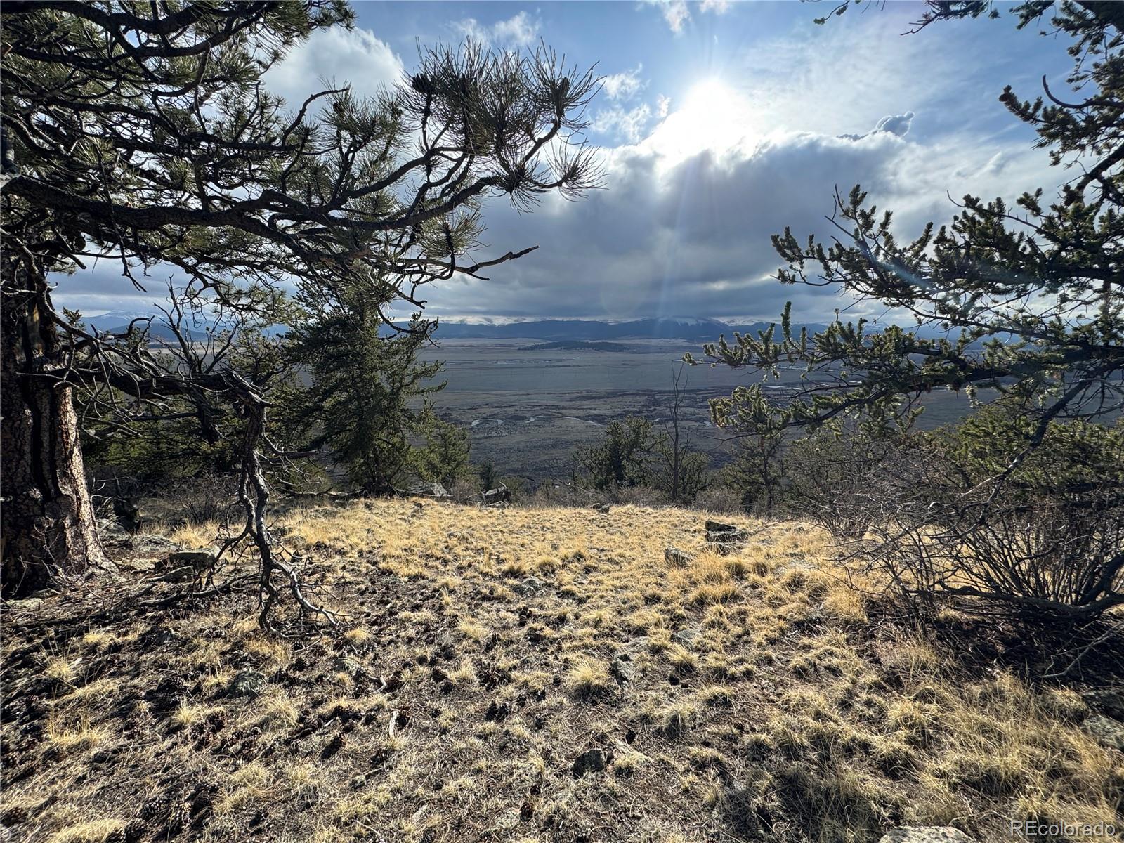 4513 Middle Fork Vista Fairplay CO 80440