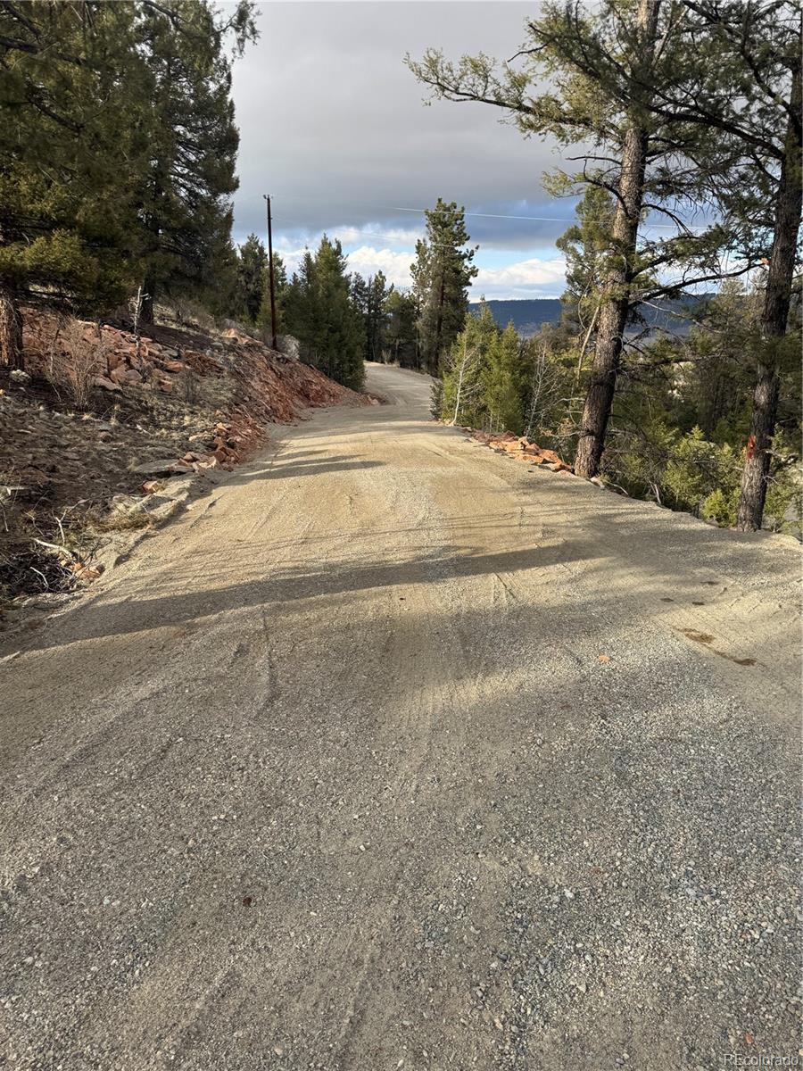4513 Middle Fork Vista Fairplay CO 80440