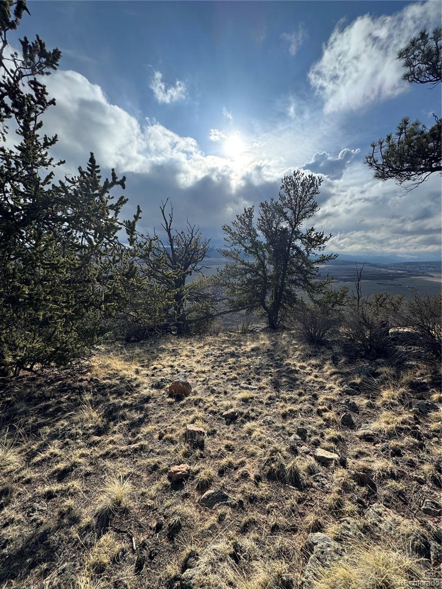 4513 Middle Fork Vista Fairplay CO 80440