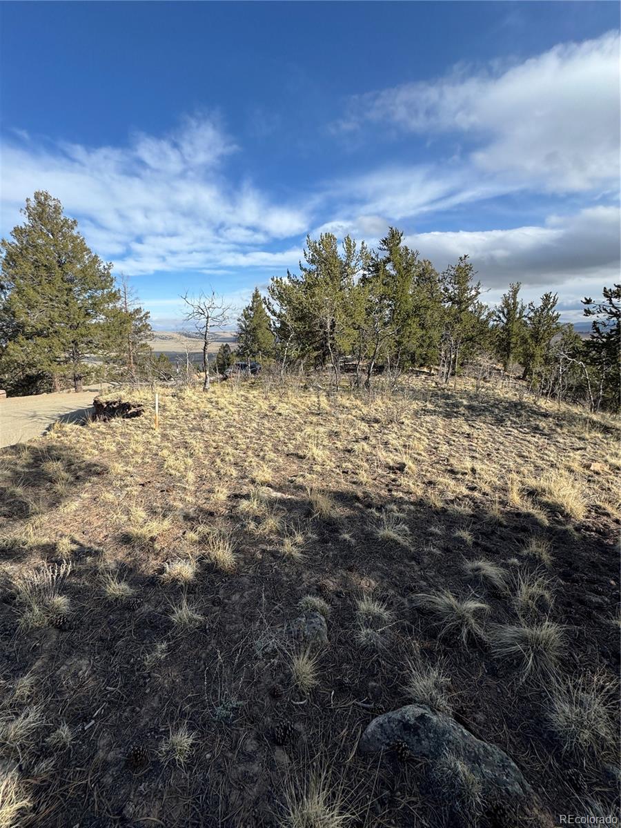 4513 Middle Fork Vista Fairplay CO 80440