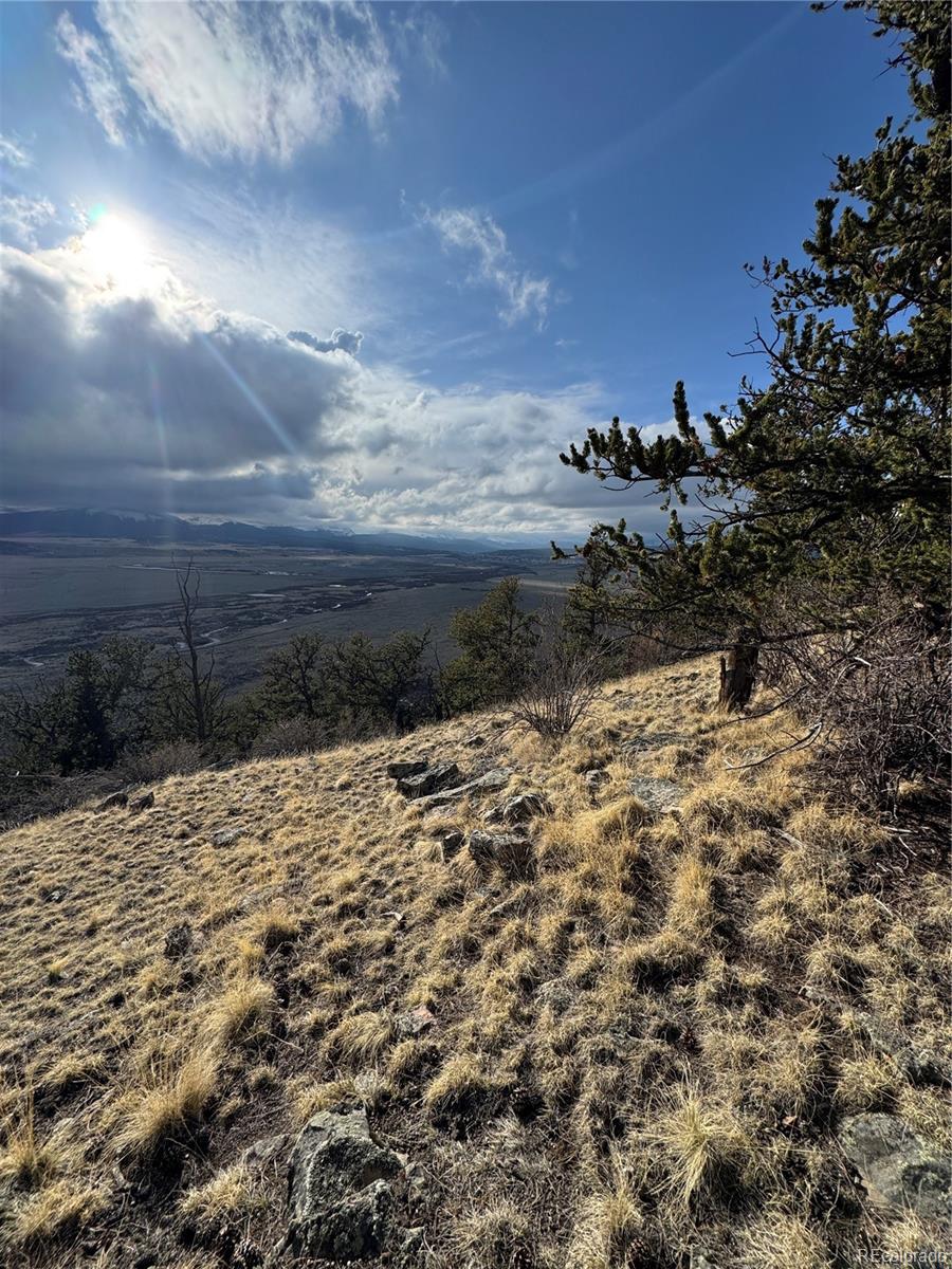 4513 Middle Fork Vista Fairplay CO 80440