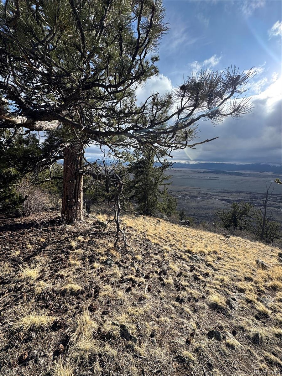 4513 Middle Fork Vista Fairplay CO 80440