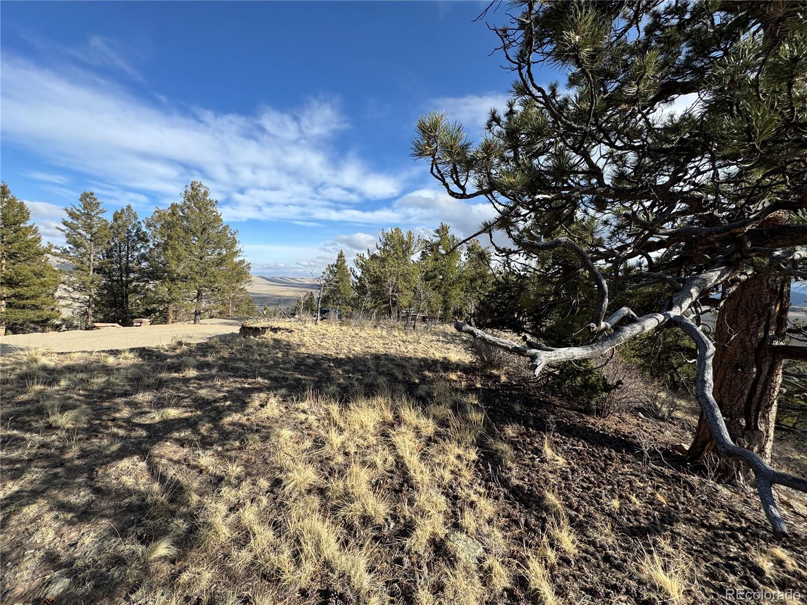 4513 Middle Fork Vista Fairplay CO 80440