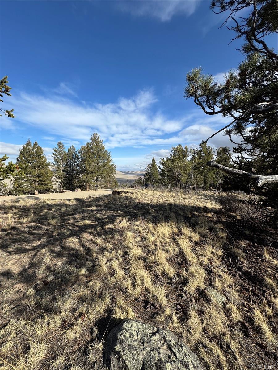 4513 Middle Fork Vista Fairplay CO 80440