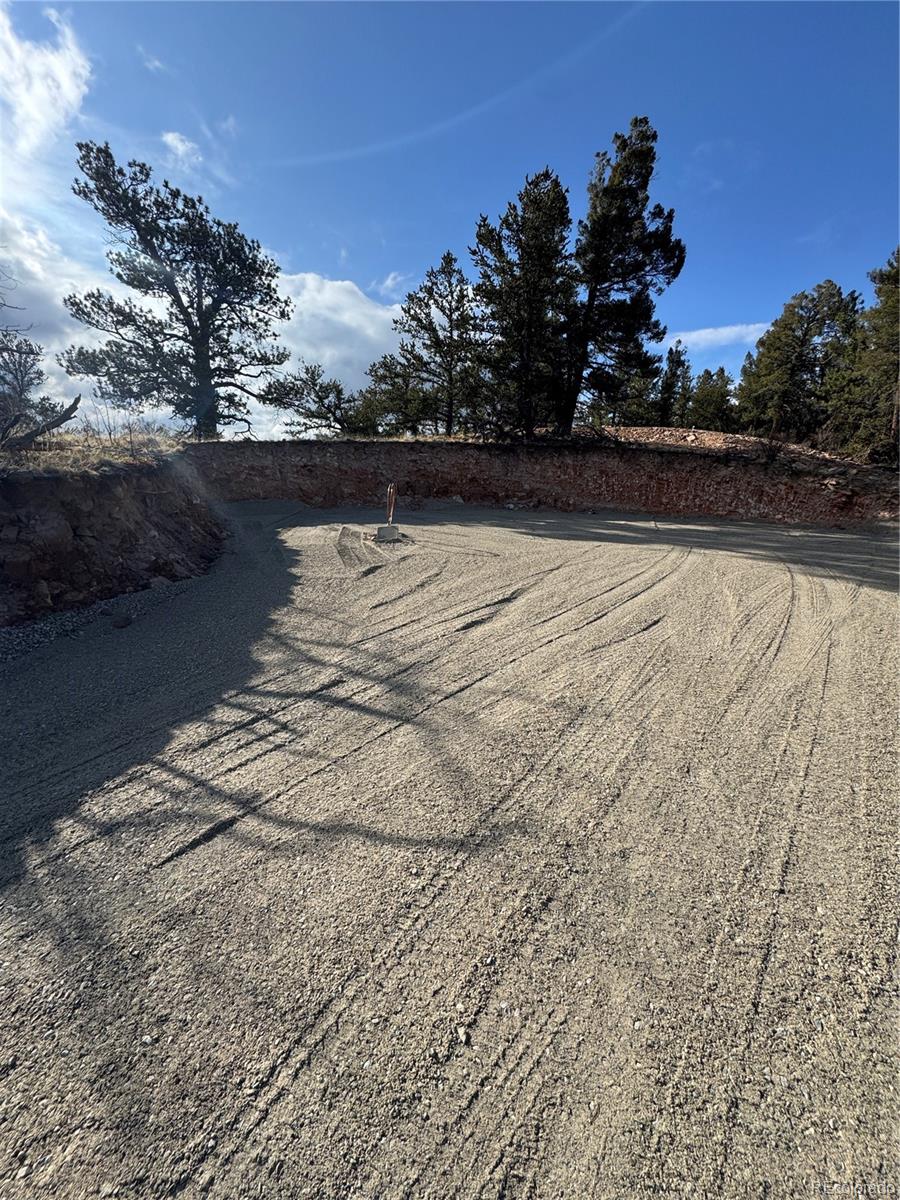 4513 Middle Fork Vista Fairplay CO 80440