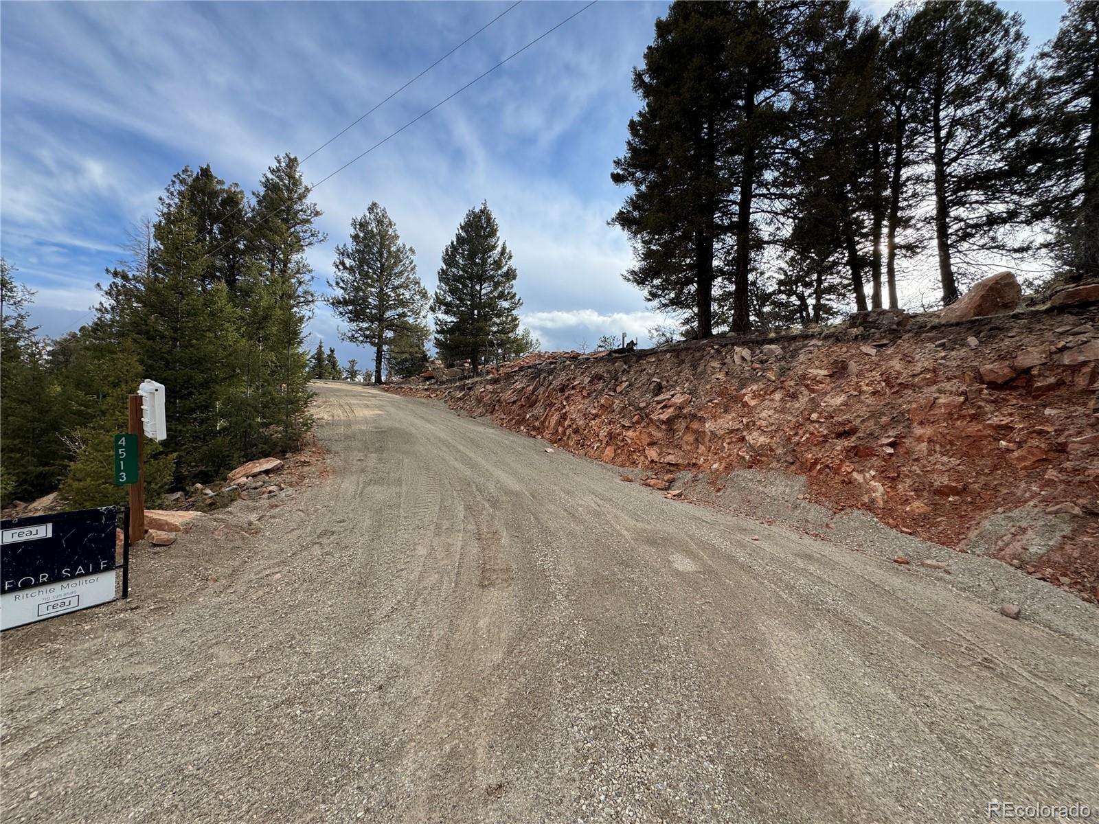 4513 Middle Fork Vista Fairplay CO 80440