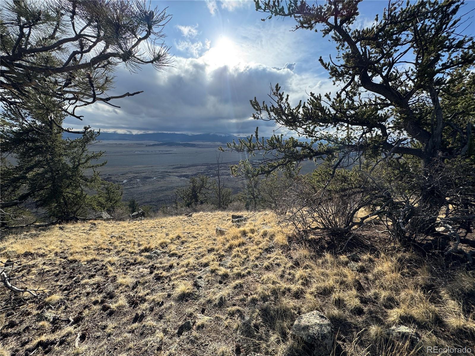 4513 Middle Fork Vista Fairplay CO 80440