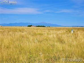 23712 Redtail Drive Colorado Springs CO 80928