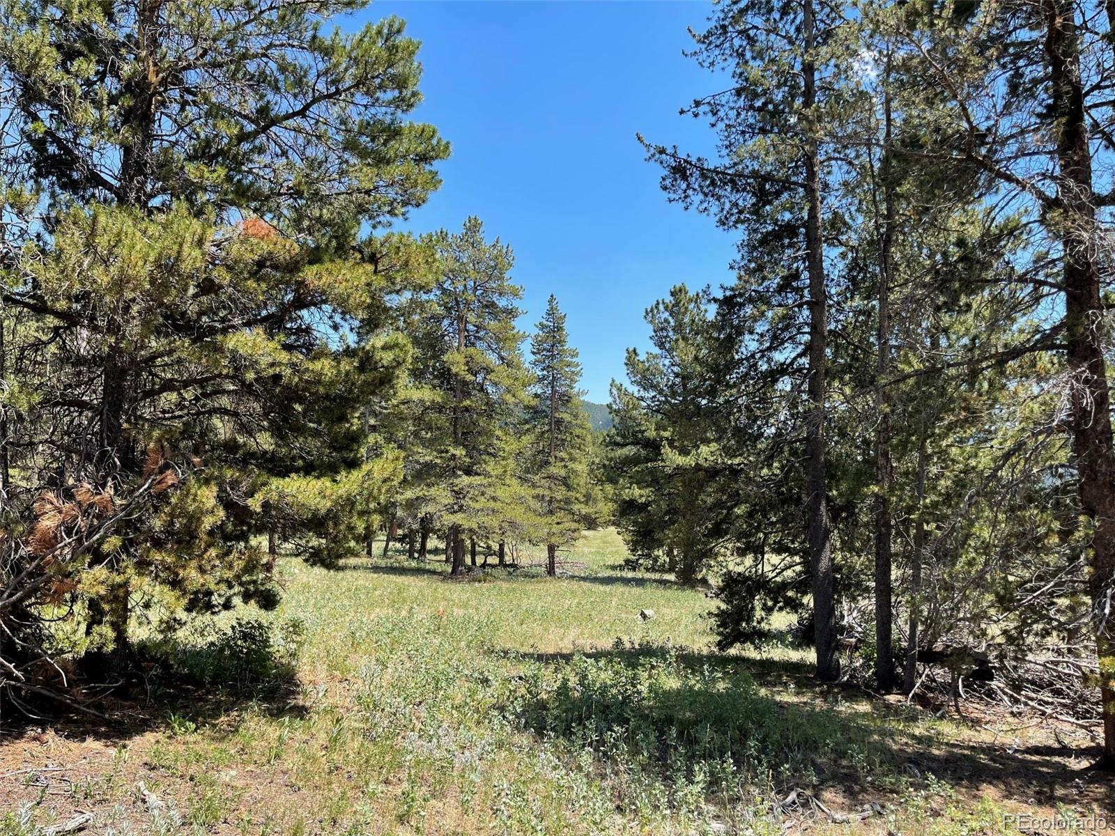 50 Rudolph Ranch Road Black Hawk CO 80422