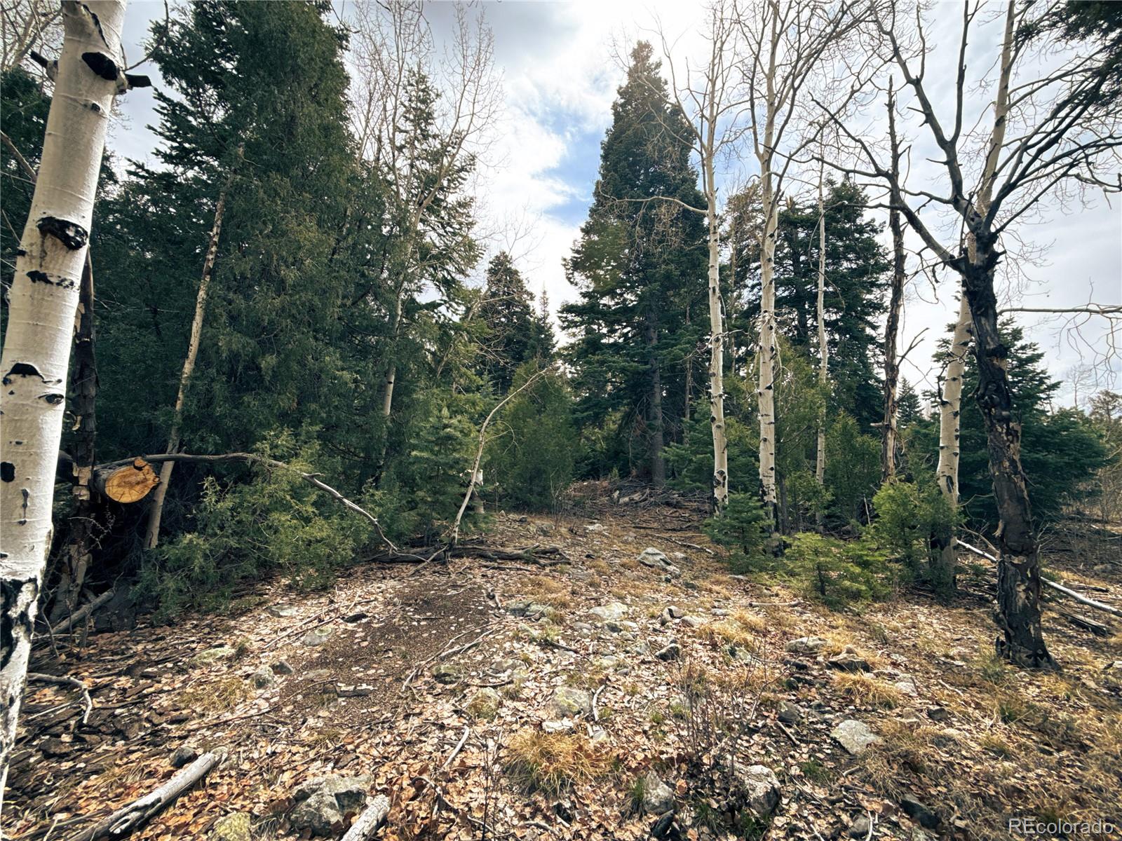 189 Cedar Ridge Road Mosca CO 81146