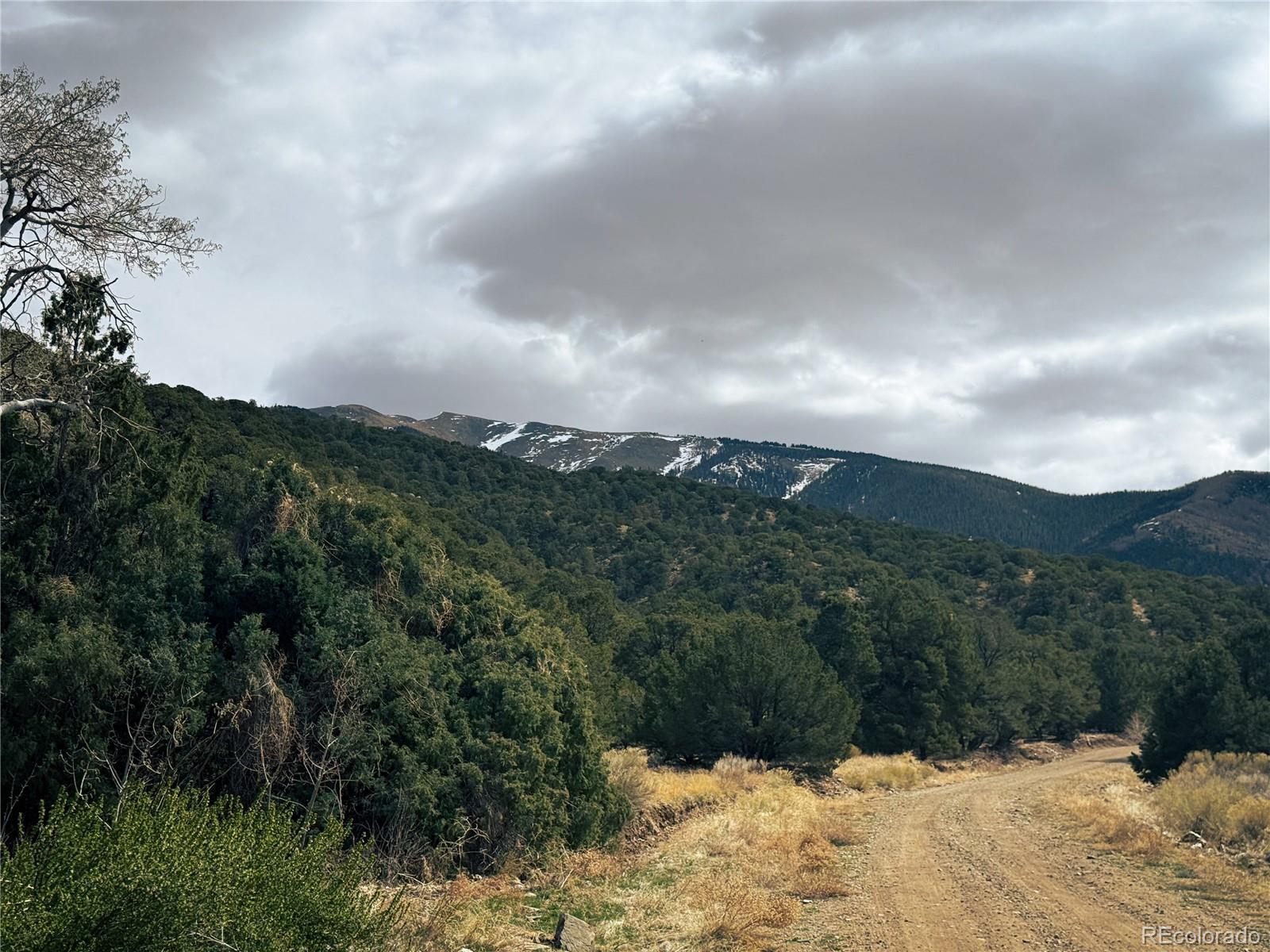 189 Cedar Ridge Road Mosca CO 81146