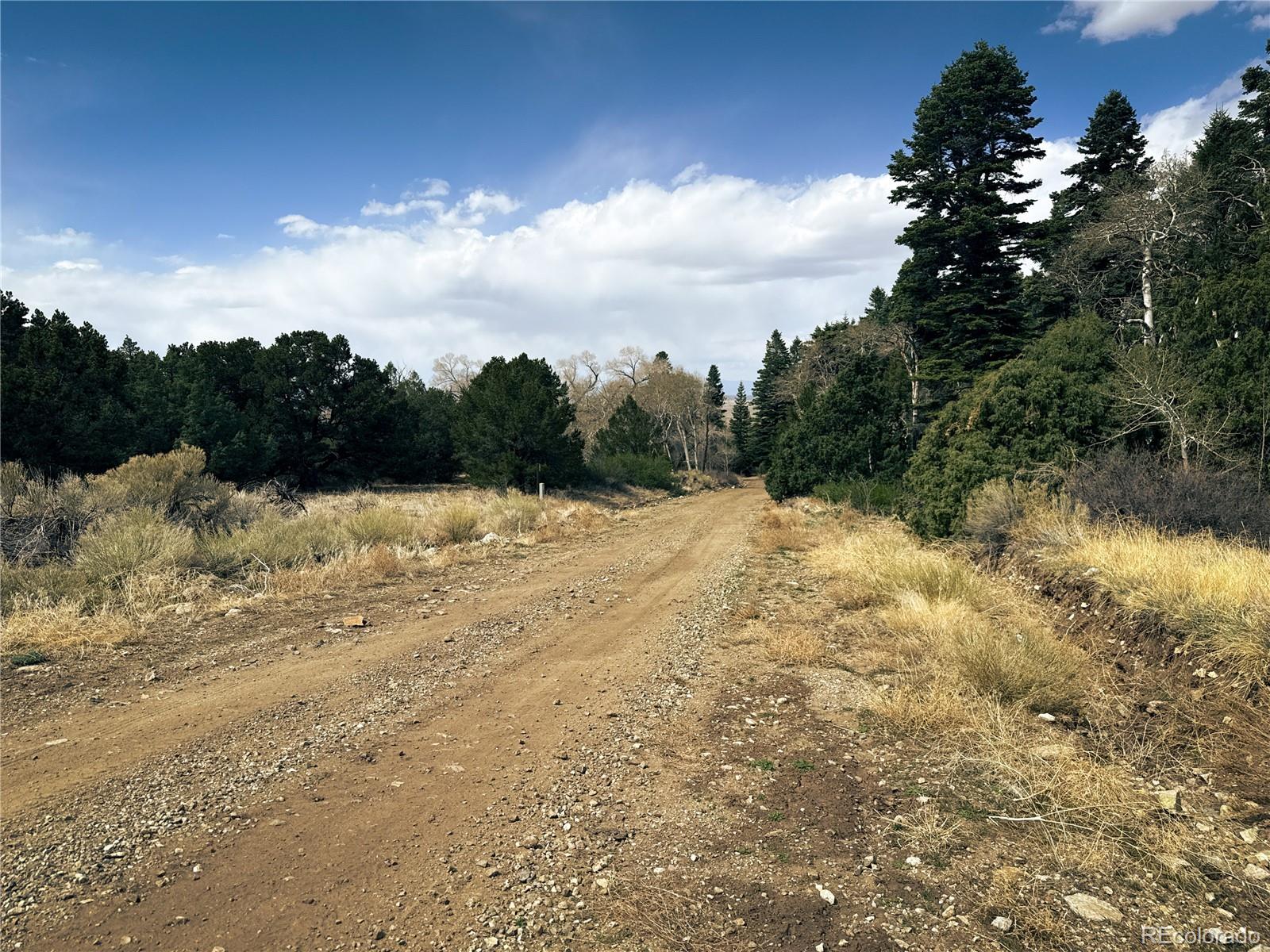 189 Cedar Ridge Road Mosca CO 81146