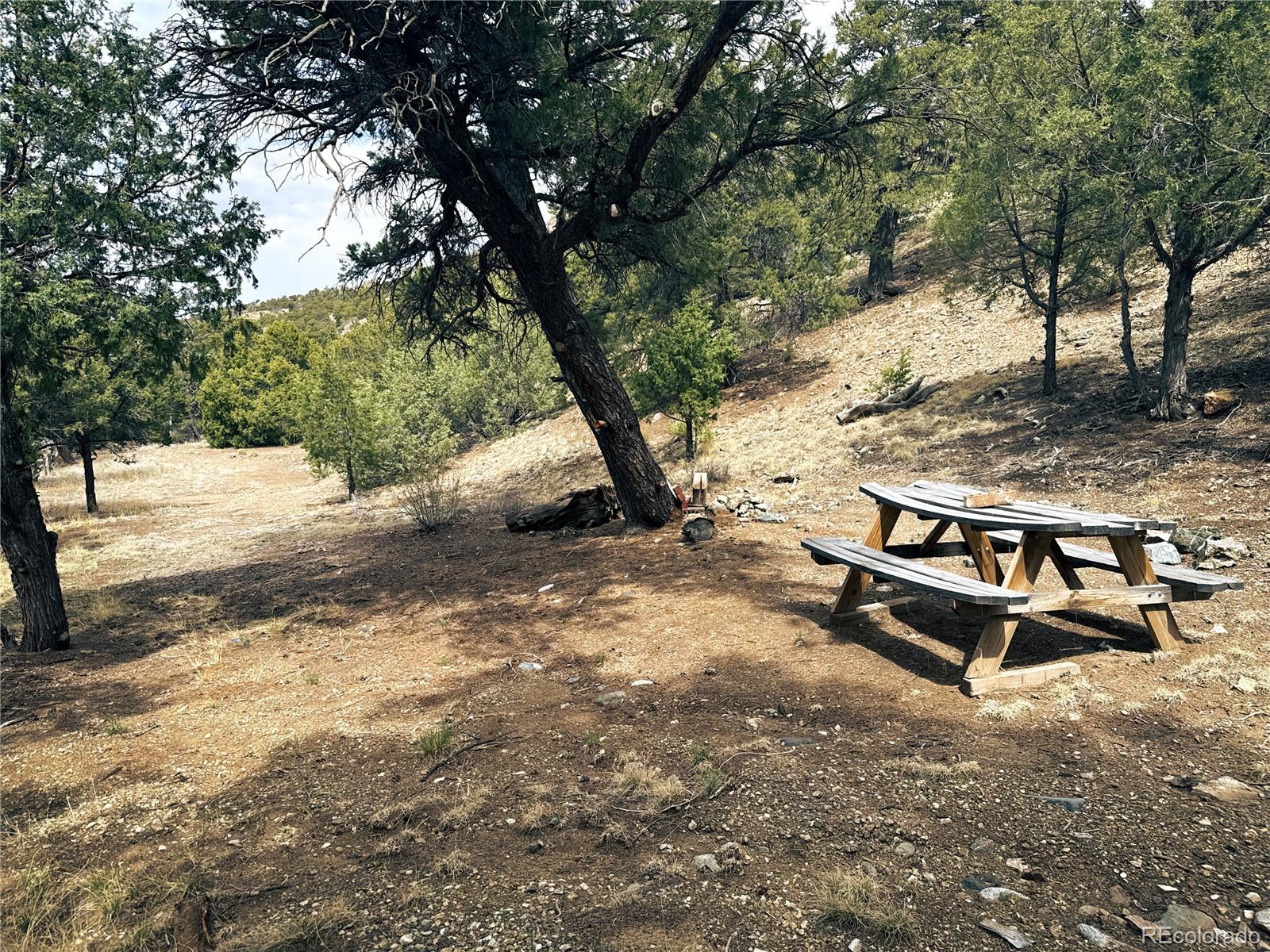 189 Cedar Ridge Road Mosca CO 81146