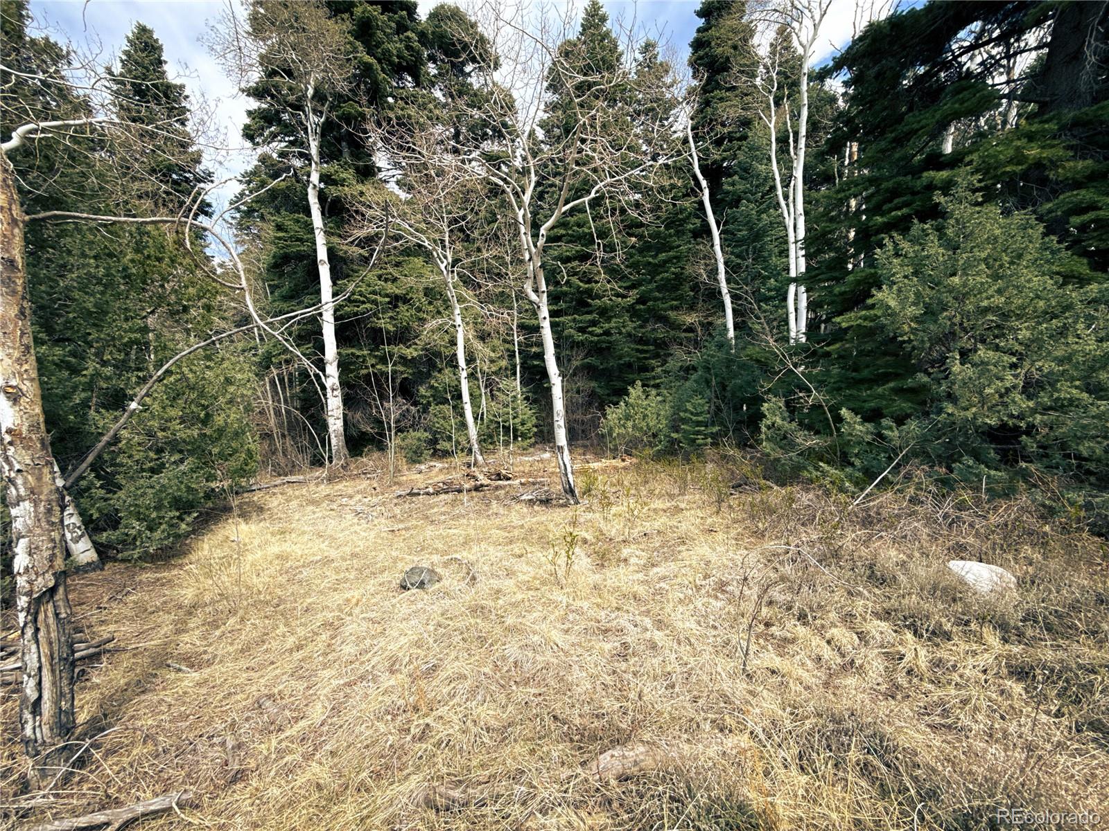 189 Cedar Ridge Road Mosca CO 81146