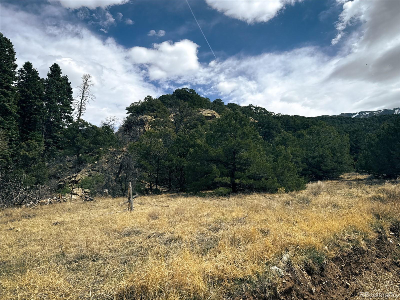 189 Cedar Ridge Road Mosca CO 81146
