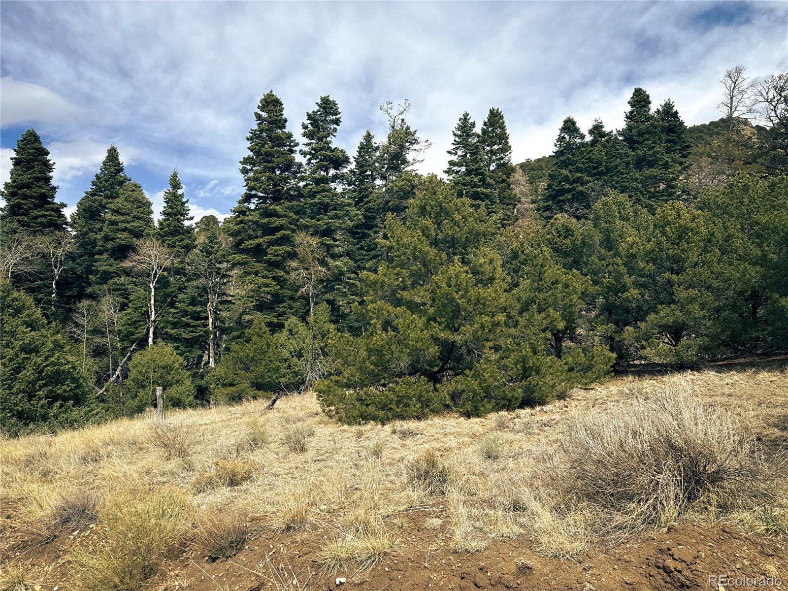 189 Cedar Ridge Road Mosca CO 81146