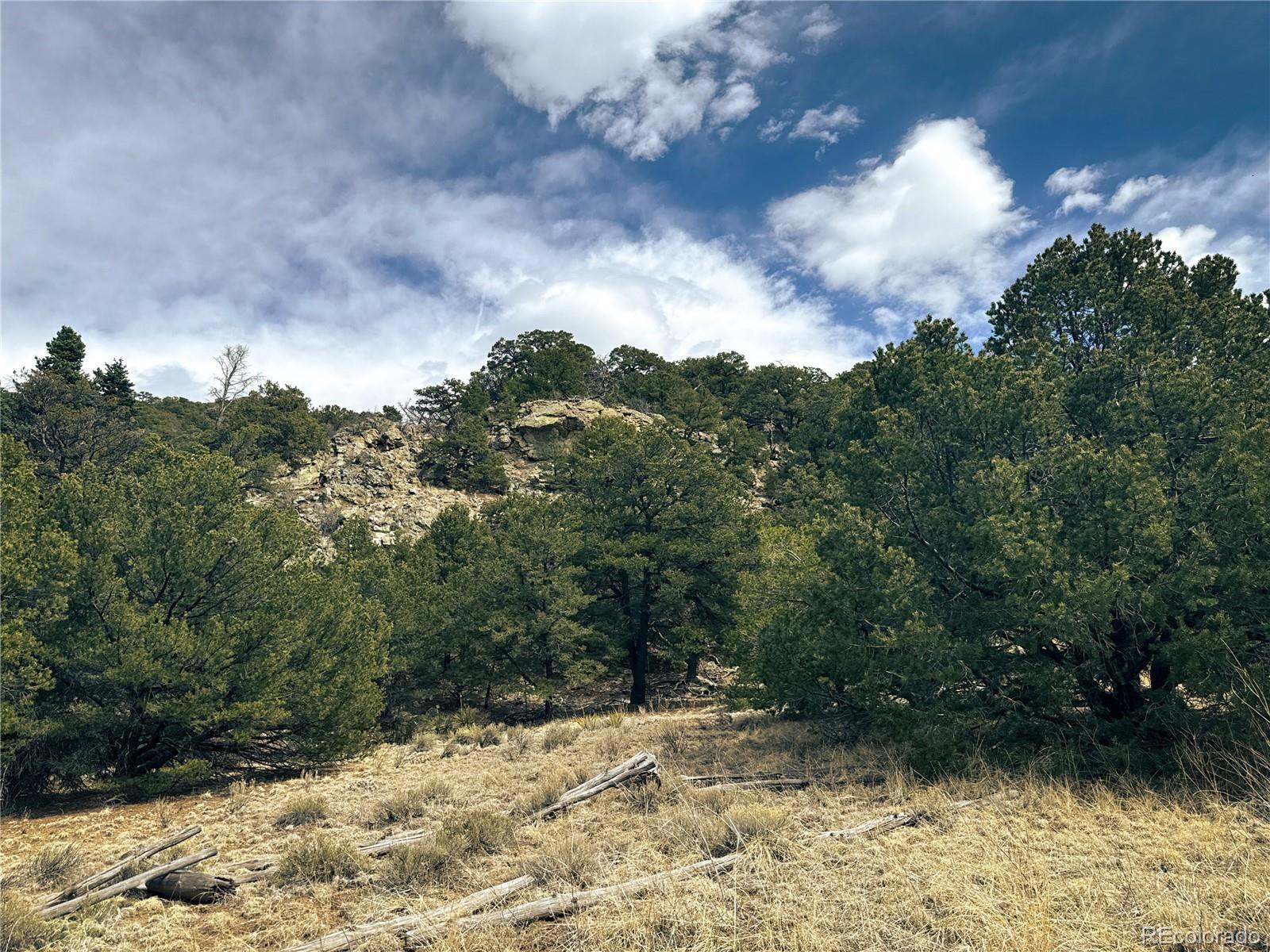 189 Cedar Ridge Road Mosca CO 81146