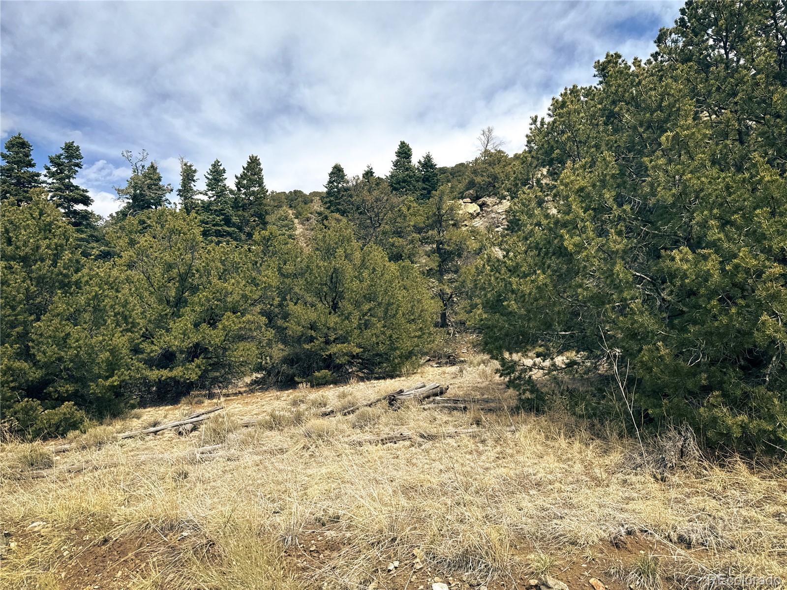 189 Cedar Ridge Road Mosca CO 81146