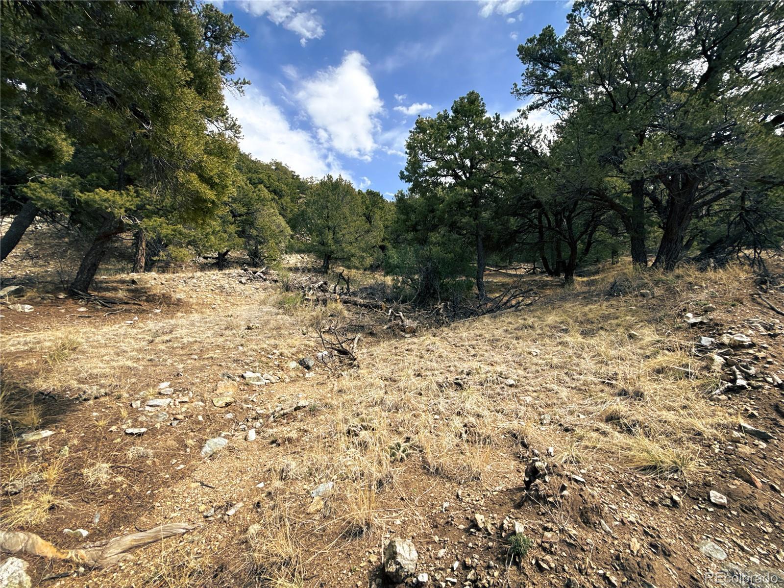 189 Cedar Ridge Road Mosca CO 81146