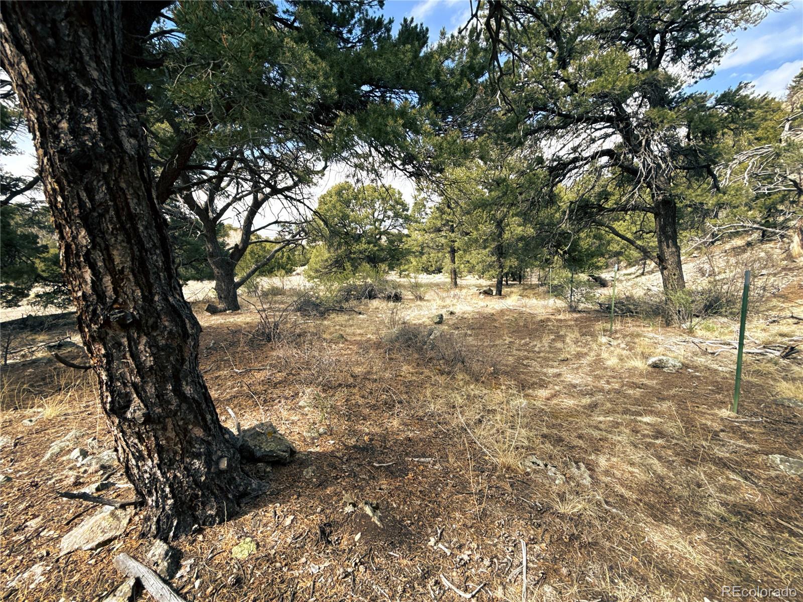 189 Cedar Ridge Road Mosca CO 81146
