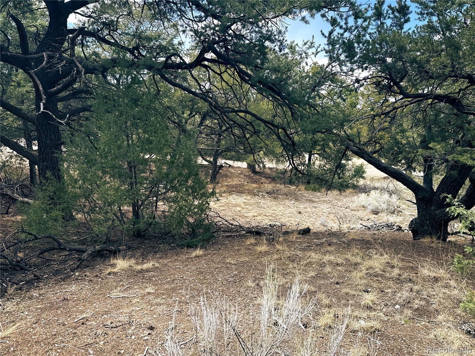 189 Cedar Ridge Road Mosca CO 81146