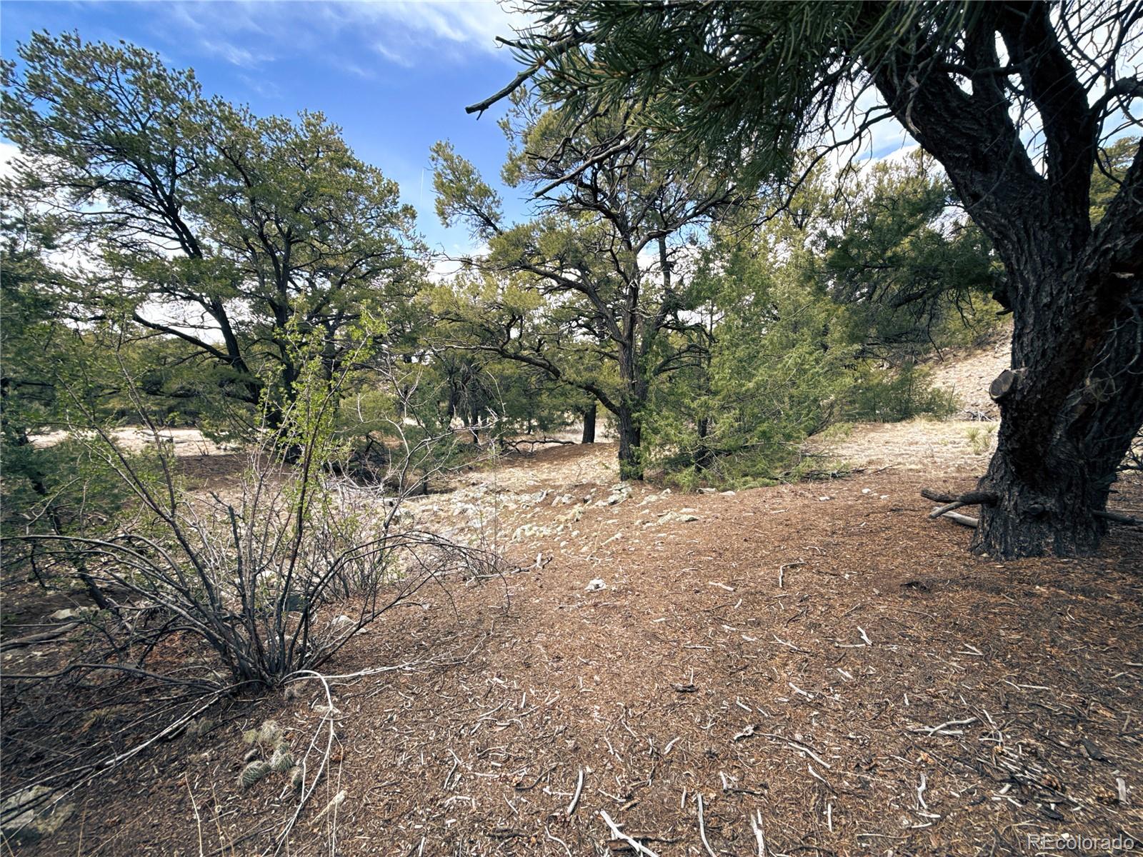 189 Cedar Ridge Road Mosca CO 81146