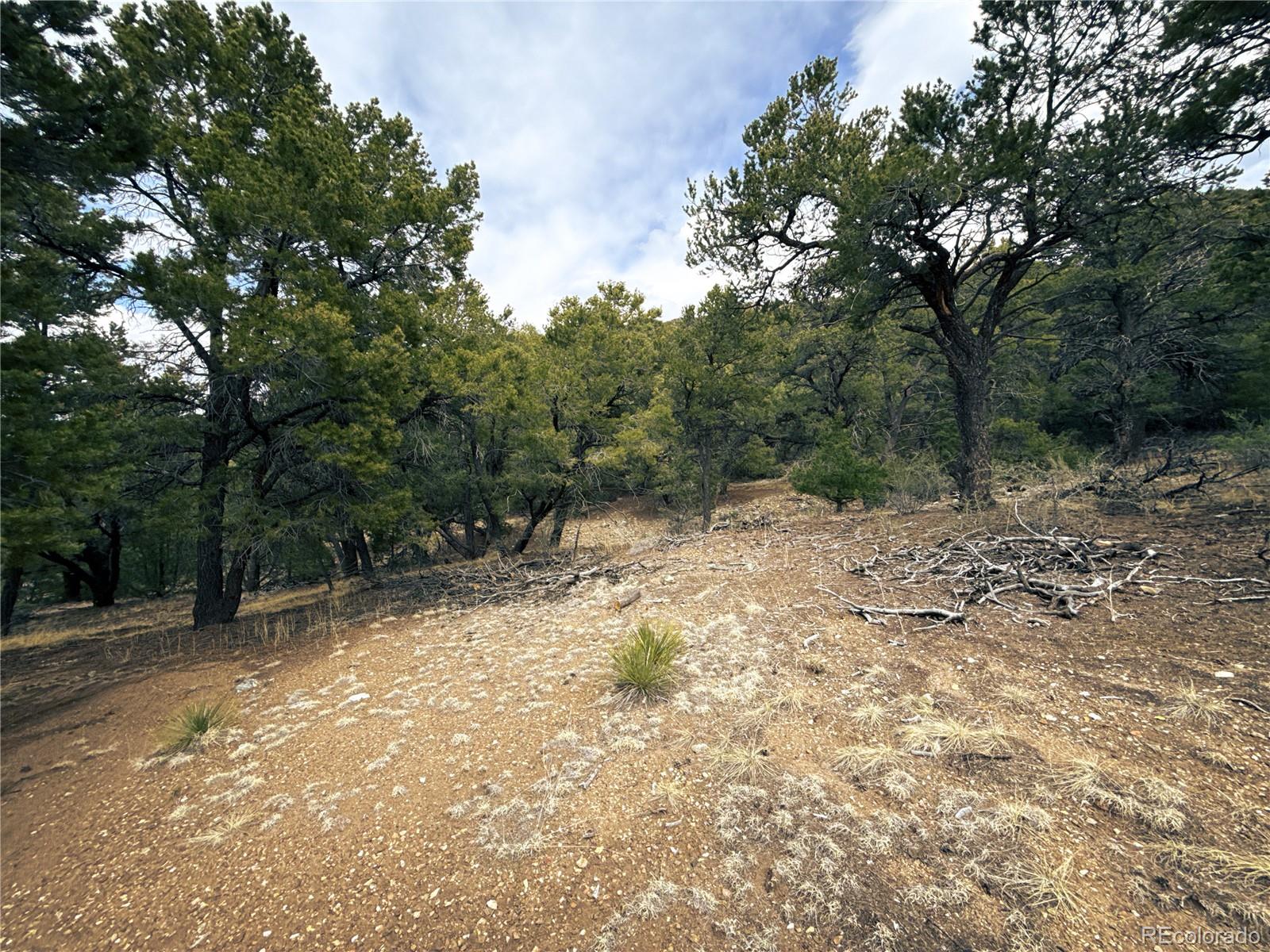 189 Cedar Ridge Road Mosca CO 81146
