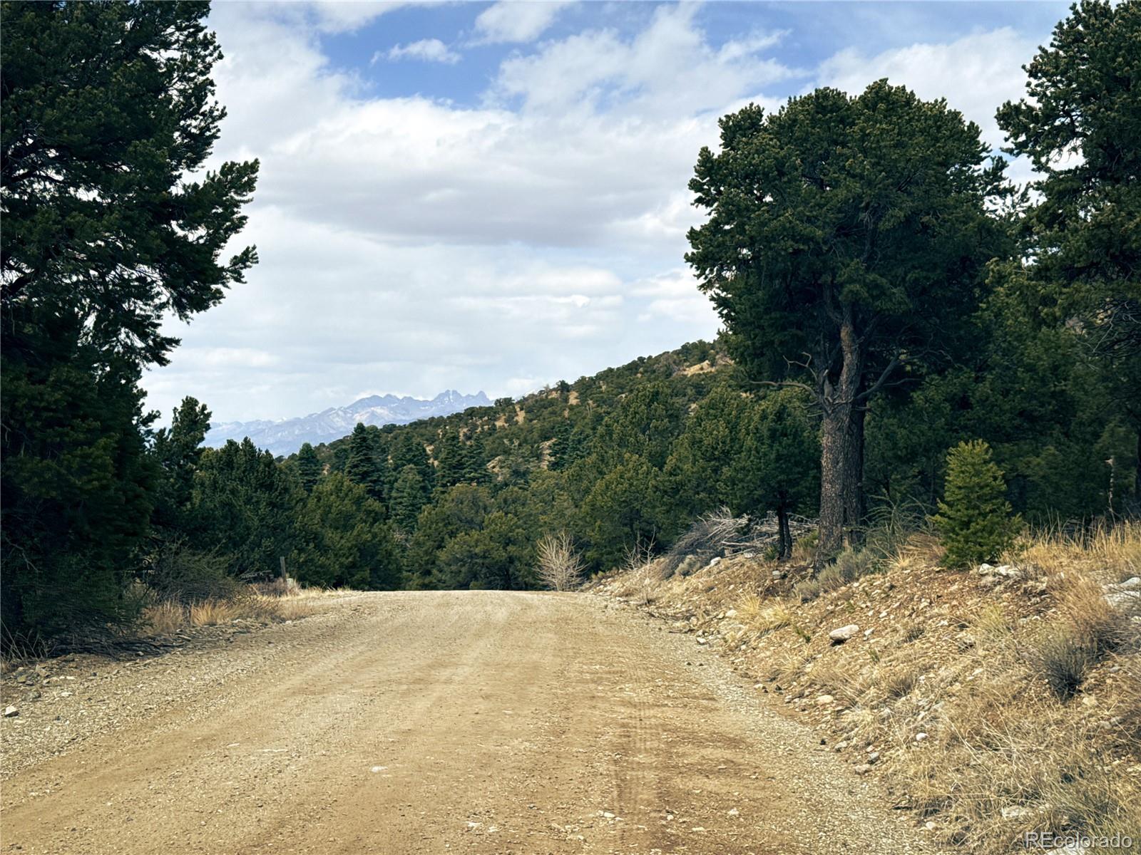 189 Cedar Ridge Road Mosca CO 81146