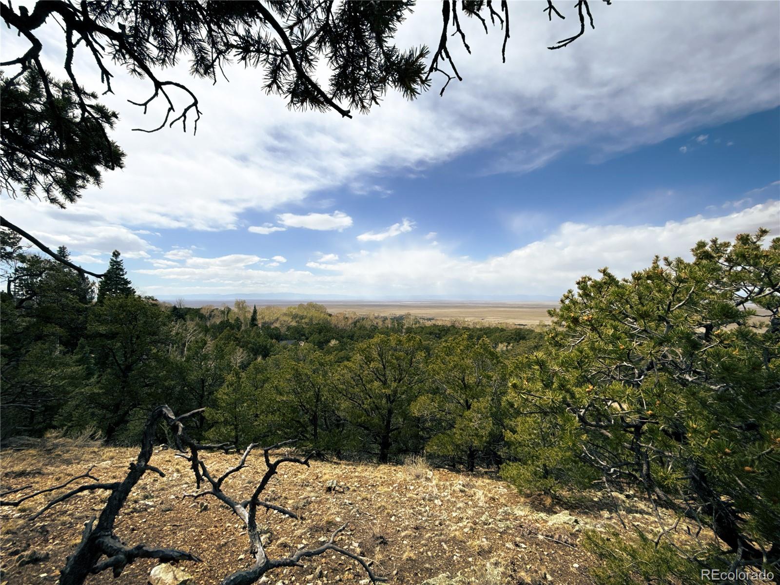 189 Cedar Ridge Road Mosca CO 81146