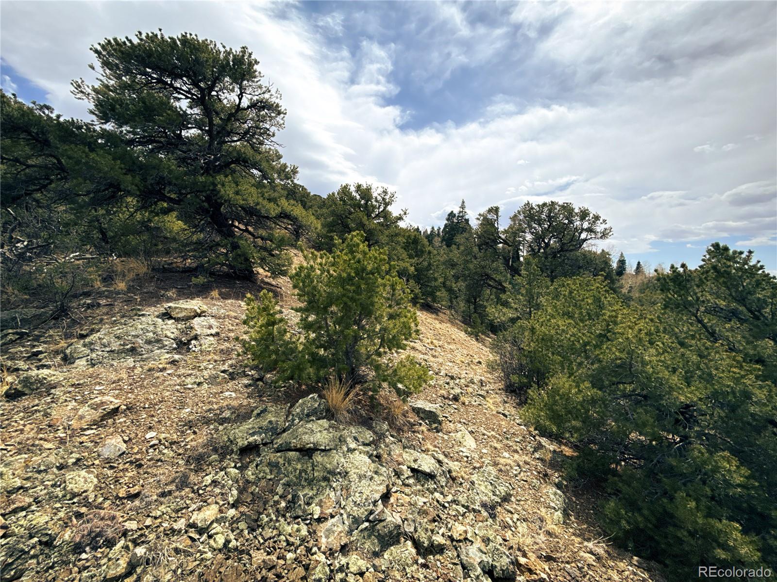 189 Cedar Ridge Road Mosca CO 81146