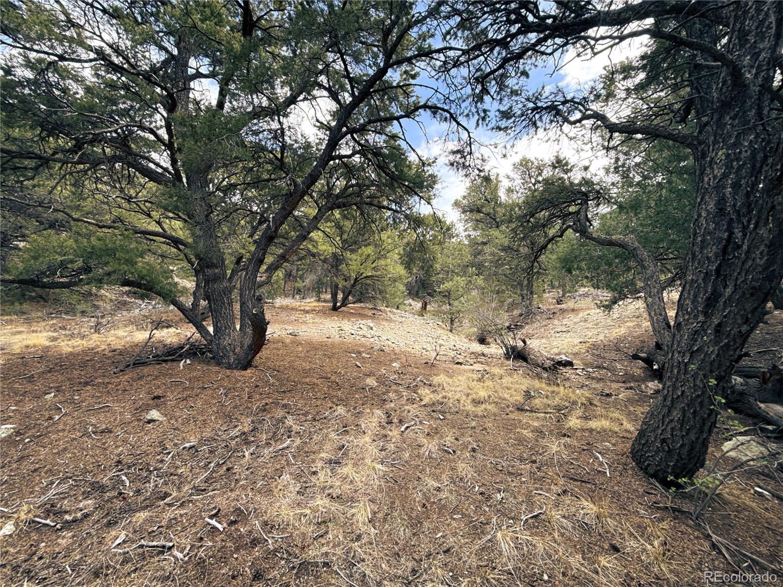 189 Cedar Ridge Road Mosca CO 81146