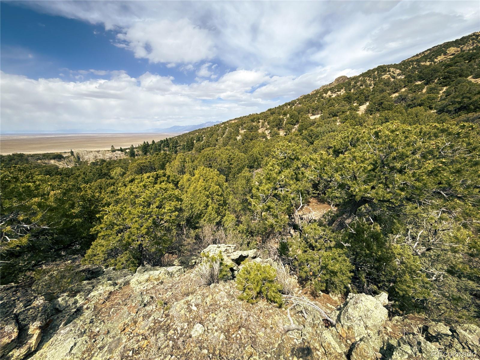 189 Cedar Ridge Road Mosca CO 81146