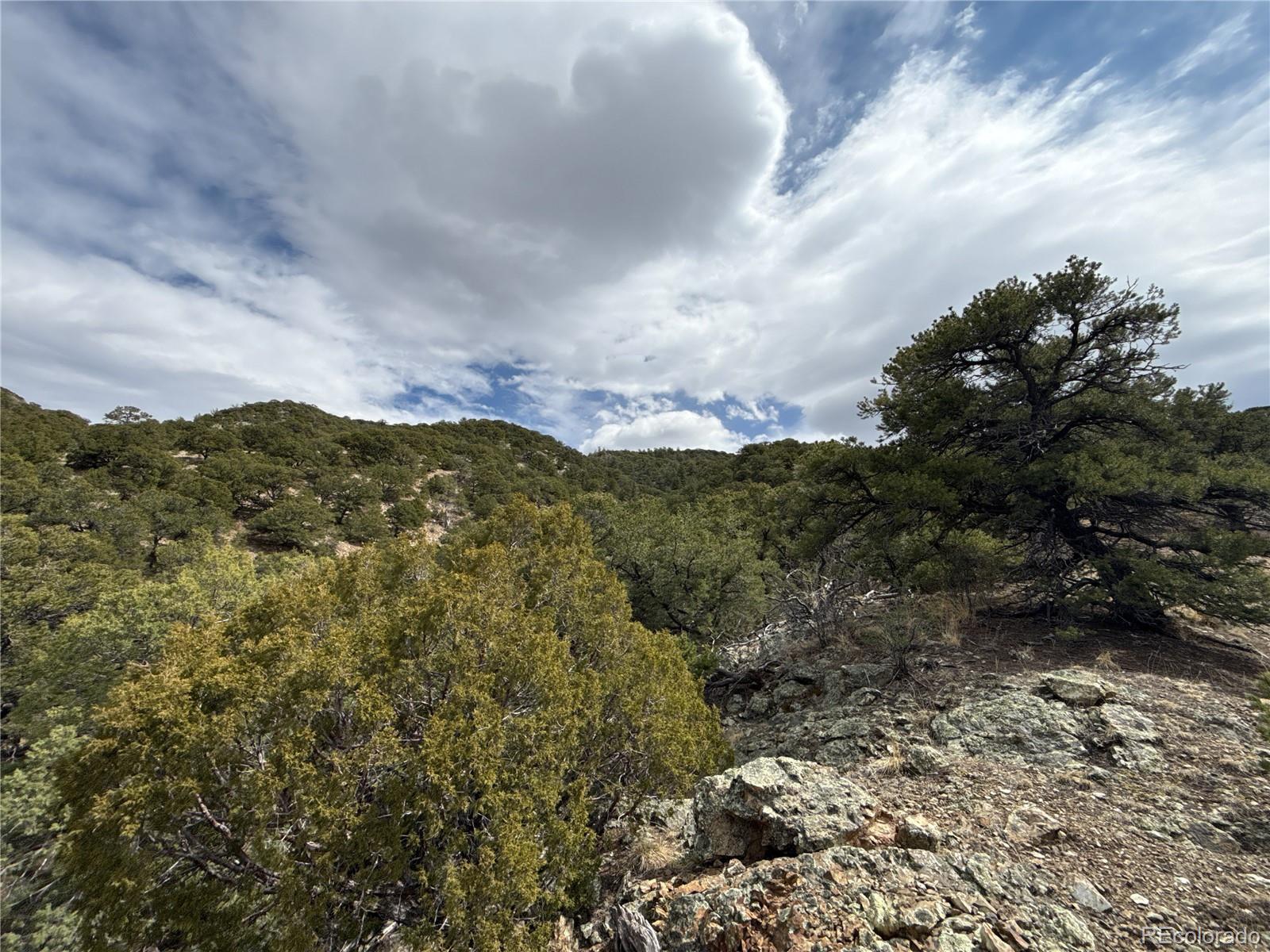 189 Cedar Ridge Road Mosca CO 81146